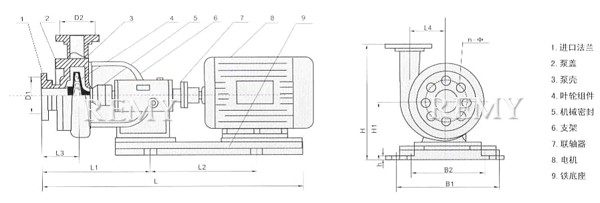 联接式离心泵结构示意图