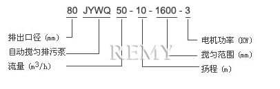 JYWQ、JPWQ系列自动搅匀排污泵 型号说明