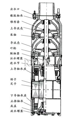 QSP潜水电泵 结构简图