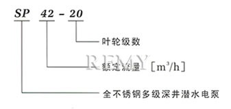 SP潜水泵 型号说明