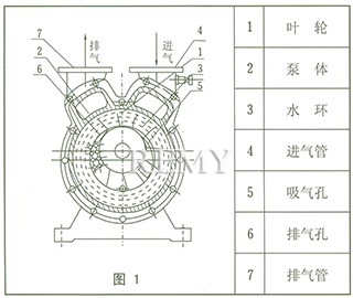 SZ系列水环式真空泵 结构图1