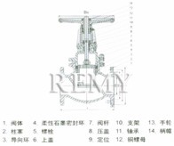 硬密封柱塞闸阀 结构图